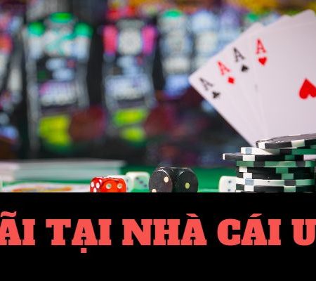 TOP NHÀ CÁI  ｜｜ Nhà cái online ｜｜ Link Đăng Nhập Nhà Cái 88NEW