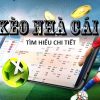 tinycat99 Casino Sòng bạc trực tuyến hấp dẫn