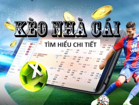 tinycat99 Casino Sòng bạc trực tuyến hấp dẫn