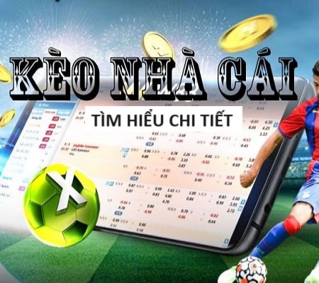 tinycat99 Casino Sòng bạc trực tuyến hấp dẫn