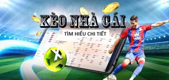 tinycat99 Casino Sòng bạc trực tuyến hấp dẫn