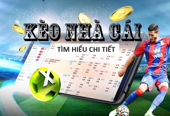 tinycat99 Casino Sòng bạc trực tuyến hấp dẫn