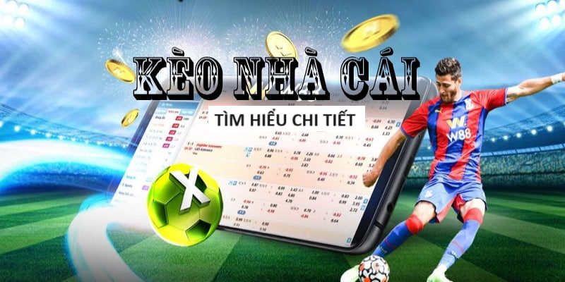 tinycat99 Casino Sòng bạc trực tuyến hấp dẫn